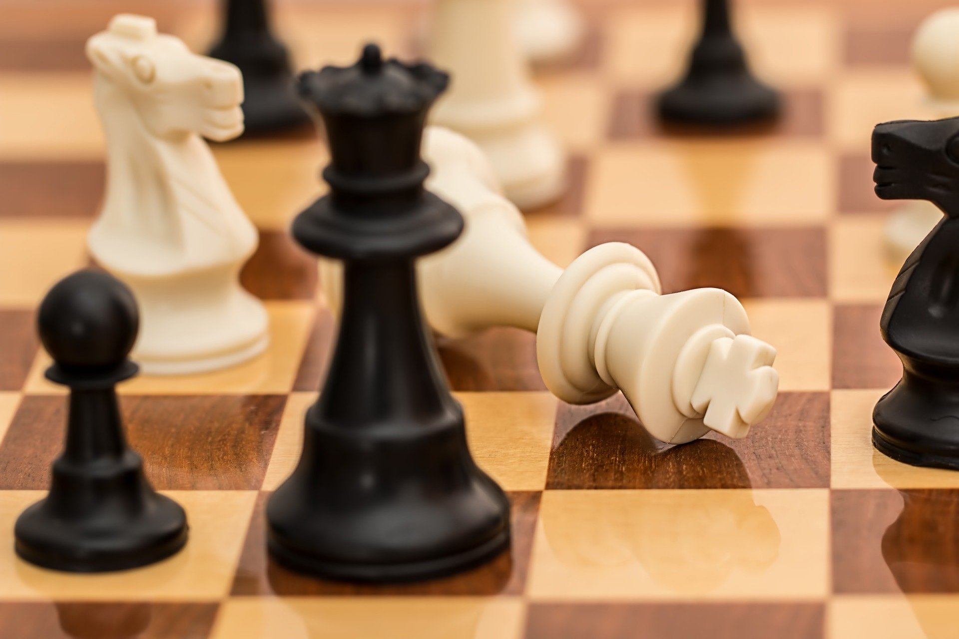 נשים מנהיגות מיוצגות בידי מלכה מנצחת בשחמט