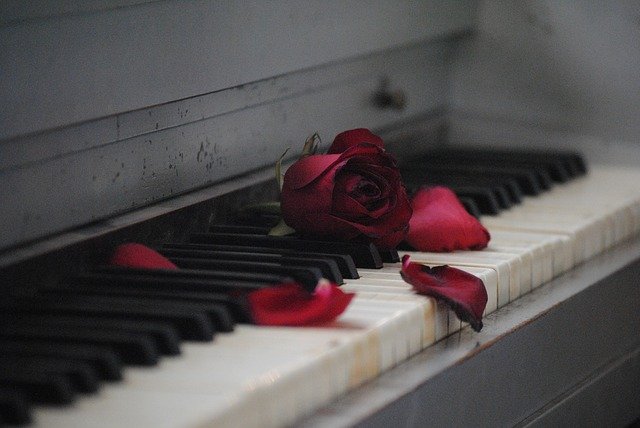 ורדים על פסנתר מסמלים פלייליסט ליום הזיכרון 2021